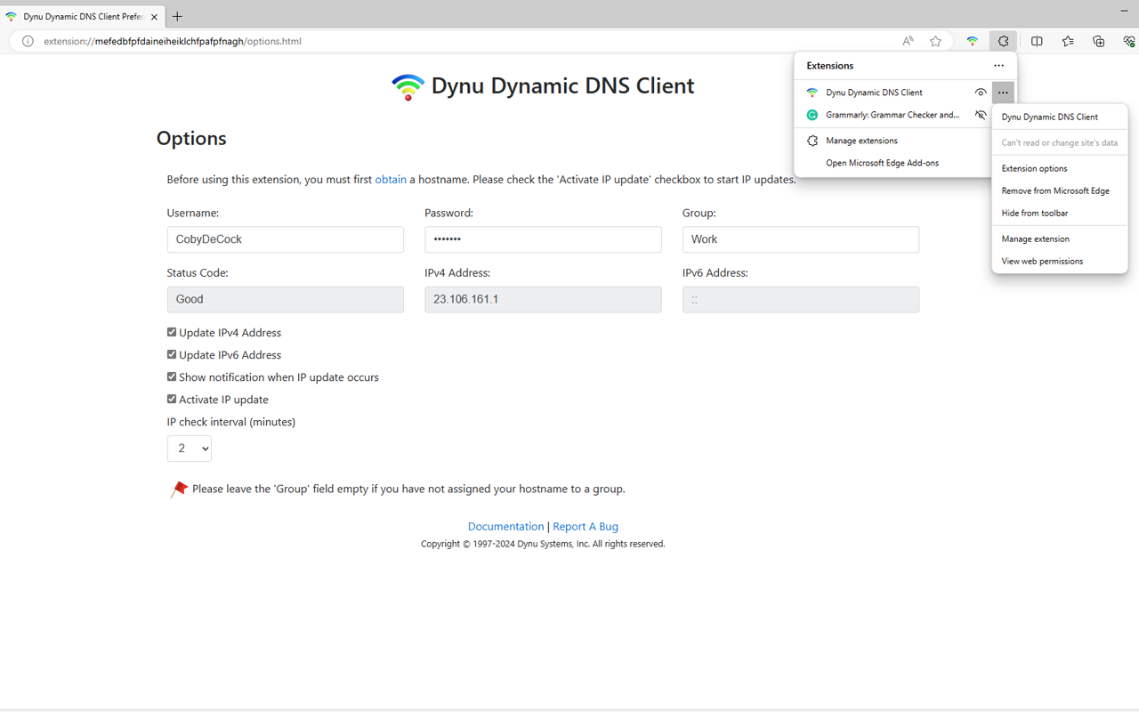 Dynu IP Update Client Activity