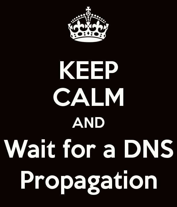 DNS Propagation