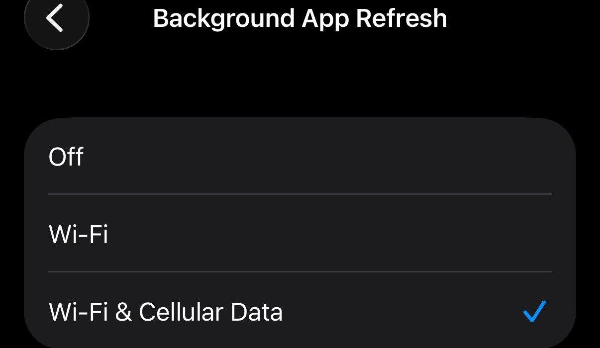 Dynu IP Update Client iOS Turn On Background App Refresh