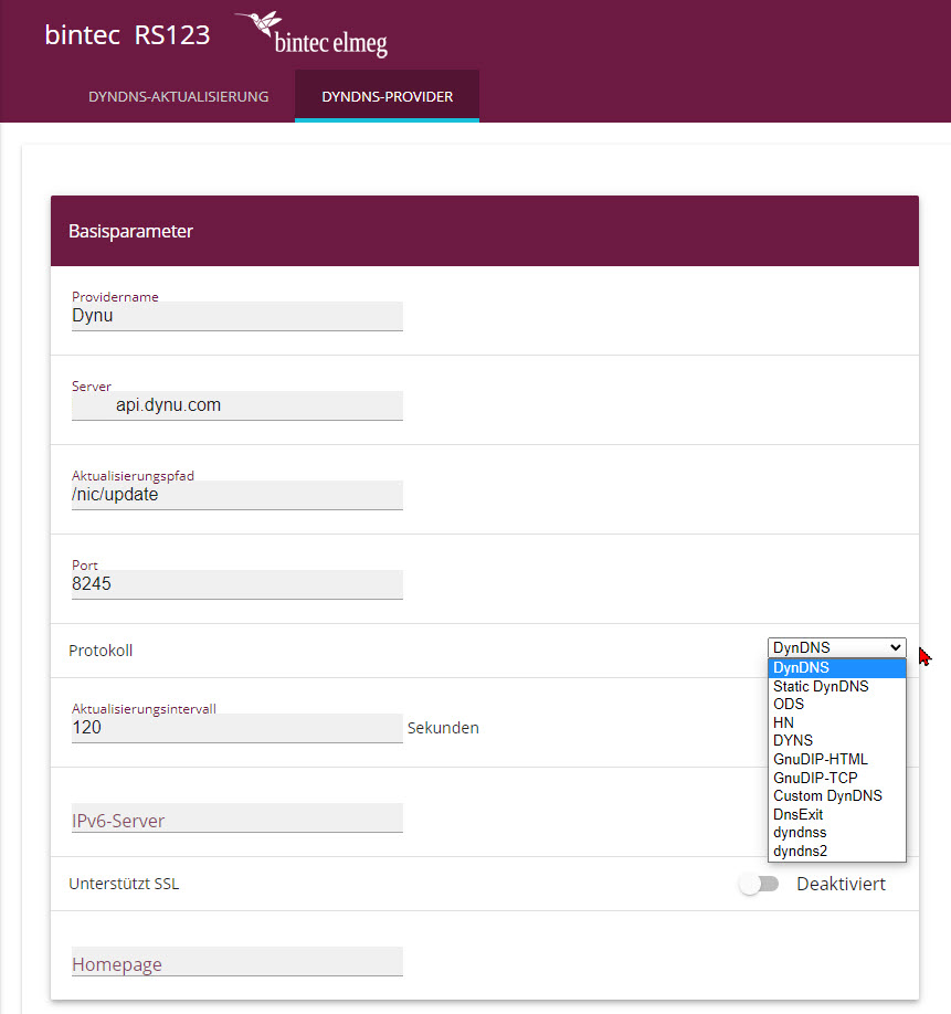 Bintec Dynu Dynamic DNS