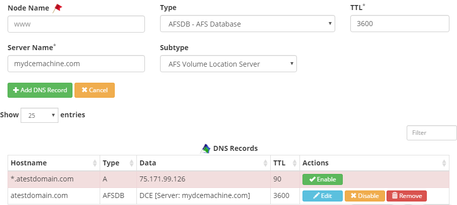 AFSDB Record Dynu Dynamic DNS
