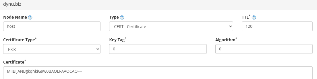 CERT Record Dynu Dynamic DNS