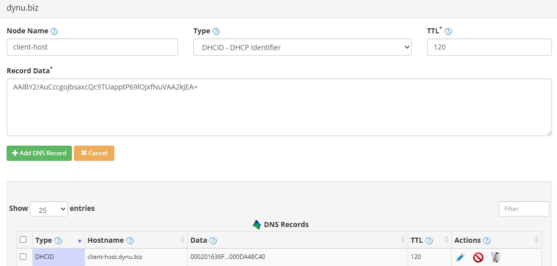 DHCID Record Dynu Dynamic DNS