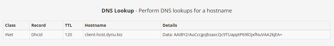 DHCID Record Dynu Dynamic DNS