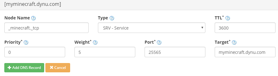 SRV Record Dynu Dynamic DNS