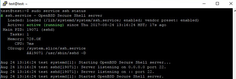 Enable SSH in Linux