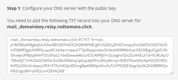 SMTP outbound relay