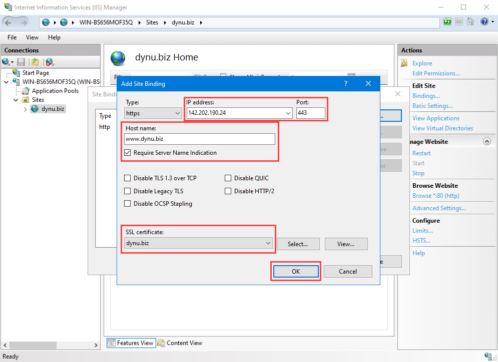 Configure IIS site binding