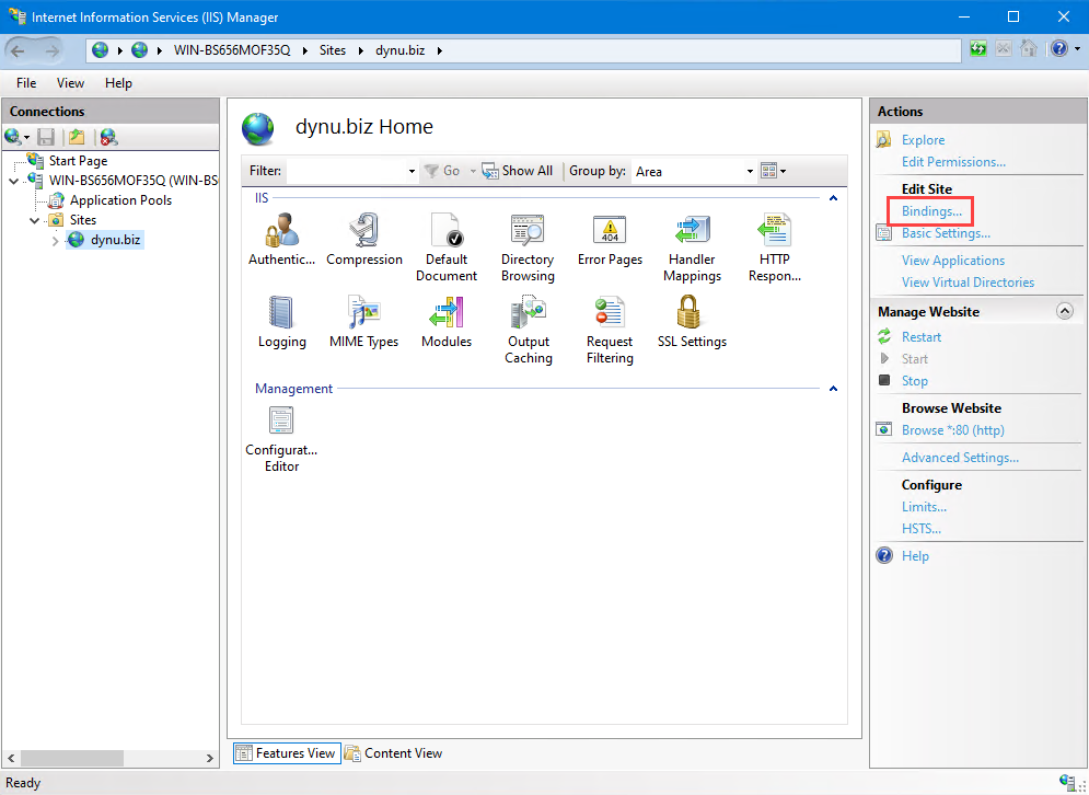IIS site bindings